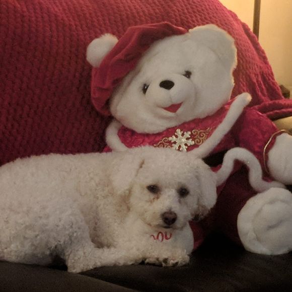 Meet your Posher, Elena - Picture 1 of 1